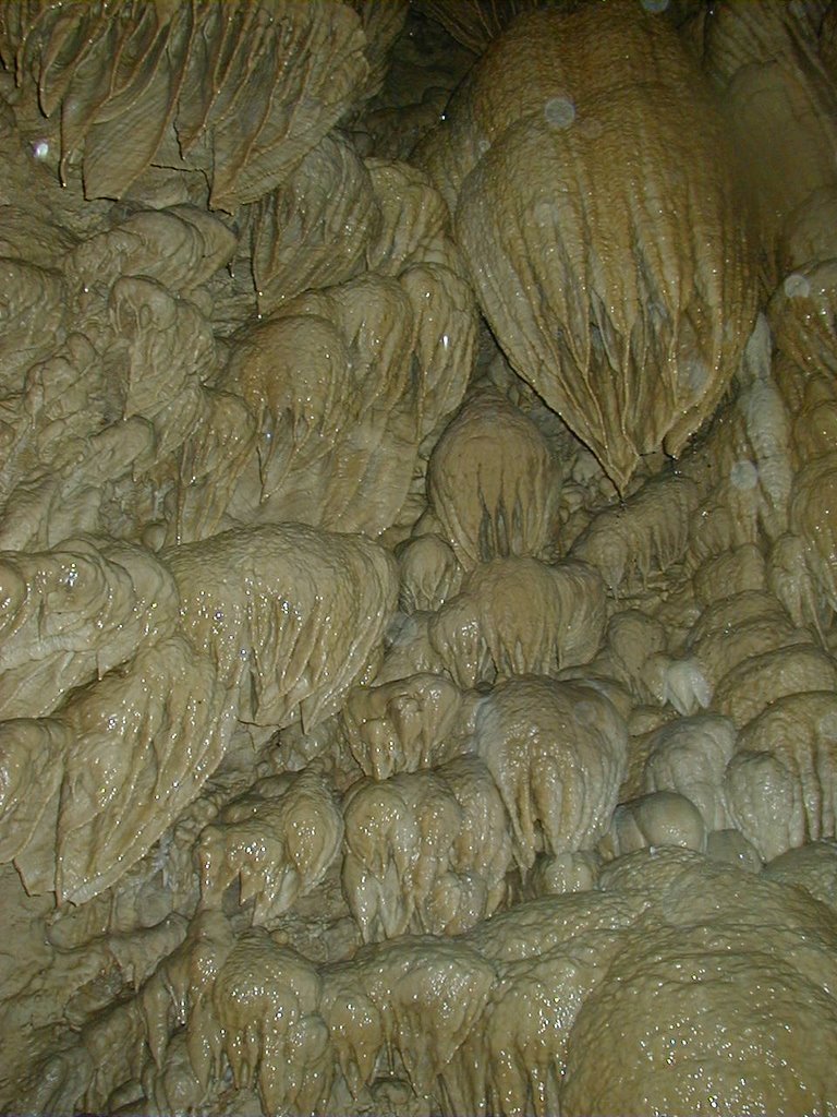 Oregon Caves, dripping wet by M Lee