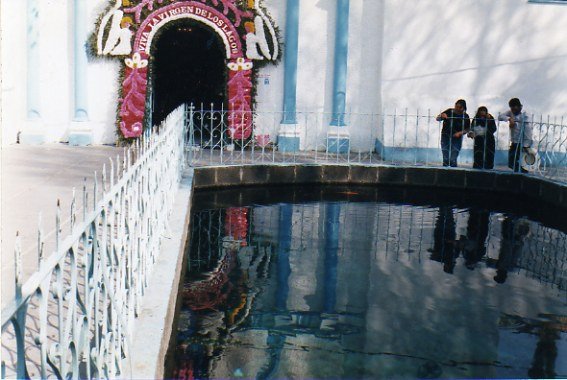 Manantial de la raya en el agua , Almoloya de Juarez by Gustavo Gonzalez Barba