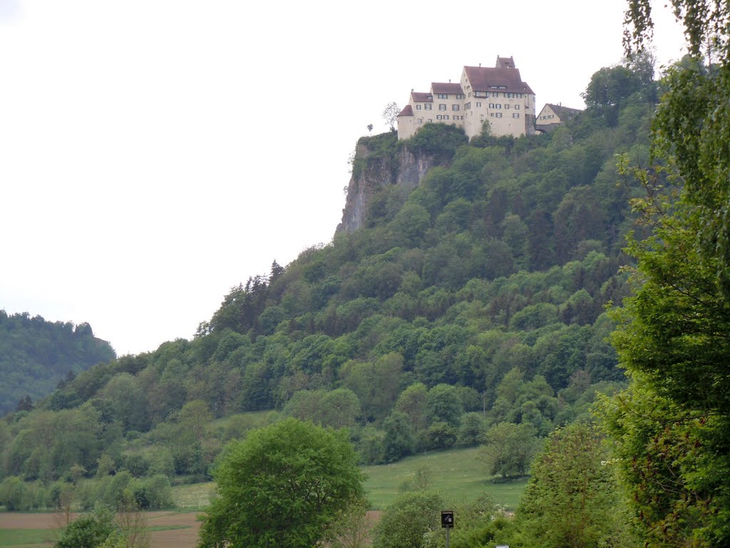 Blick auf Schloss Werenwag by Laszlo G.