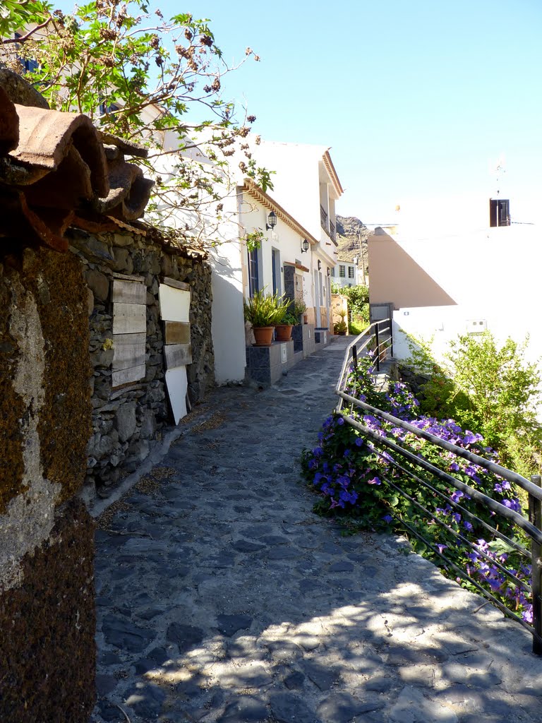 Street in Valle Gran Rey by nelem002