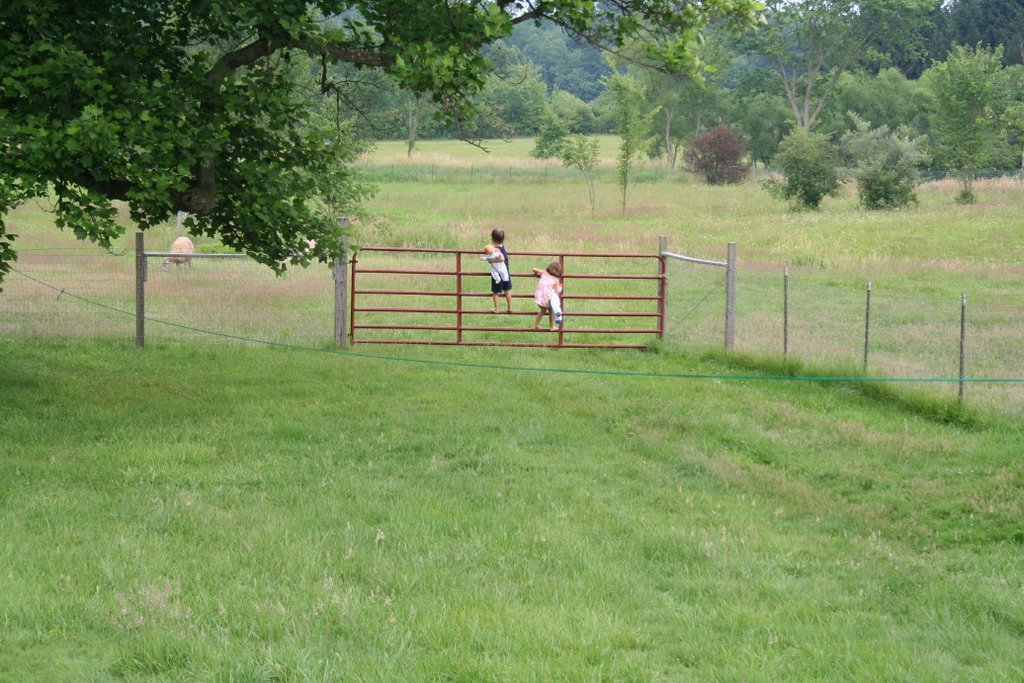 Swinging on Pasture gate by sibylkress