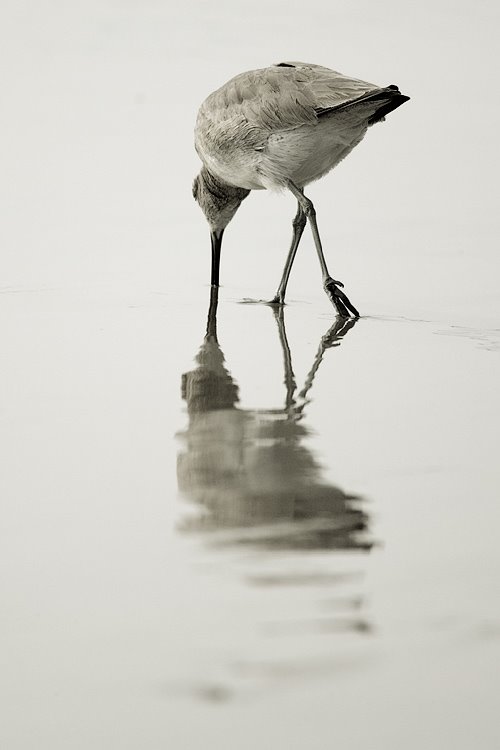 Self-contemplation by Yves Rubin