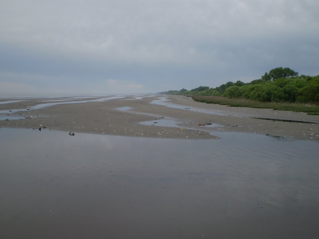 Formación sedimentaria en la costa del Río de la Plata, Villa Domínico, Avellaneda, Buenos Aires by Mario Rabey