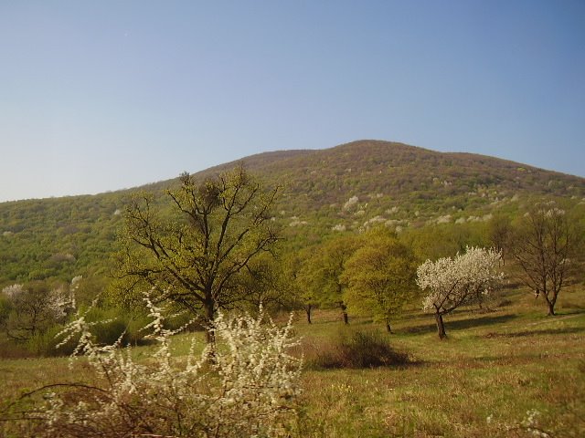 Erdőbénye, 3932 Hungary by Kis Tóth László (Lac…