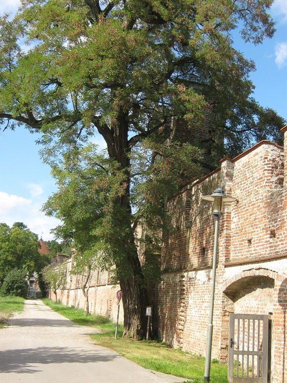 Landsberg:an der Stadtmauer by WEOSRA