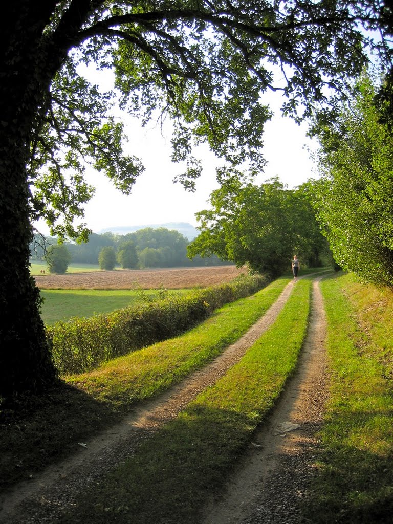 Curves and Bends #1 - A Natural Frame by Erik Eshuis