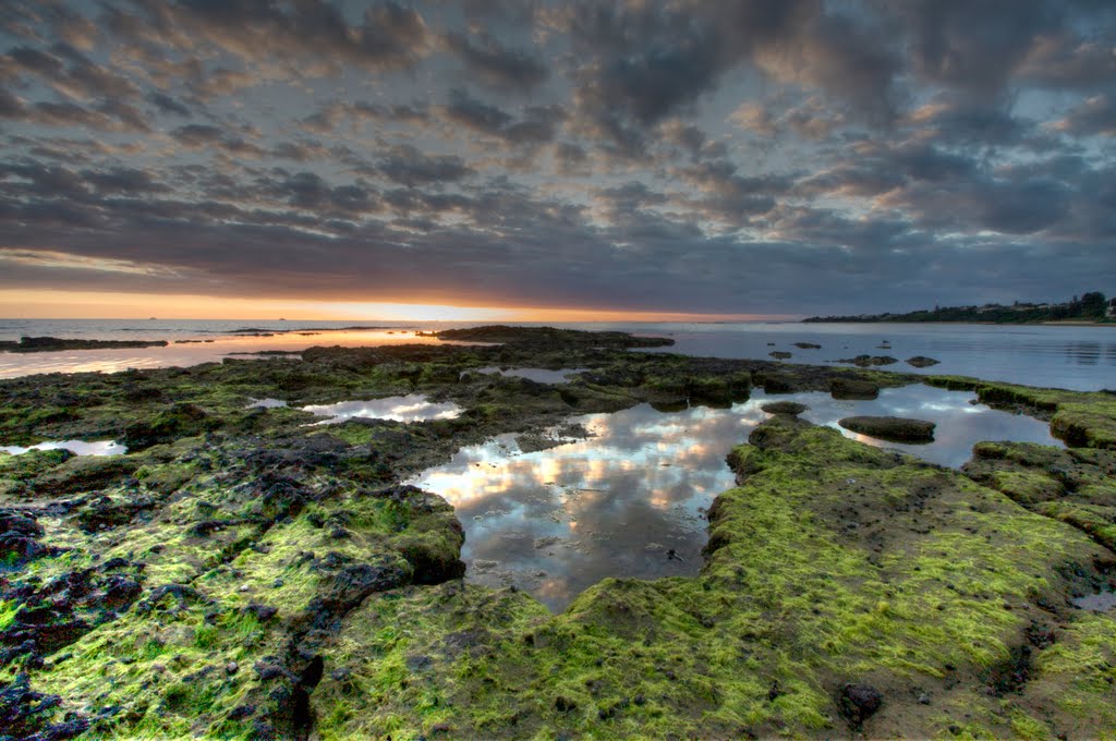 Ricketts Point by Ruth Yates