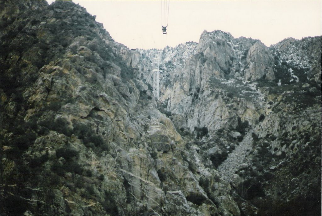 View from tram by streetrodder1958