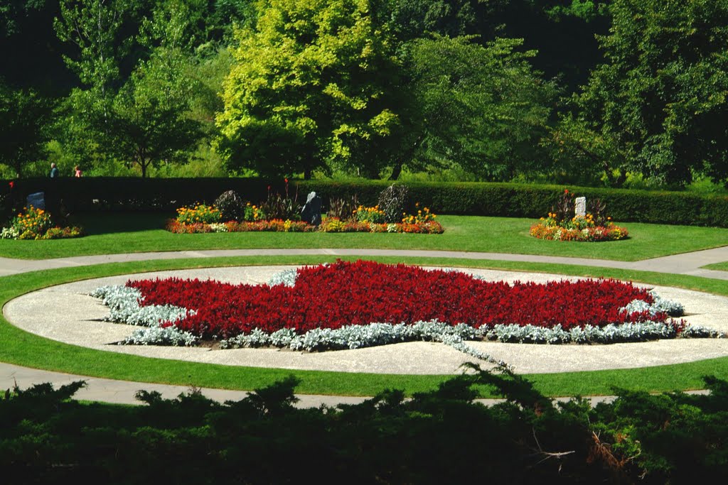 High Park, Toronto by Chick Lam