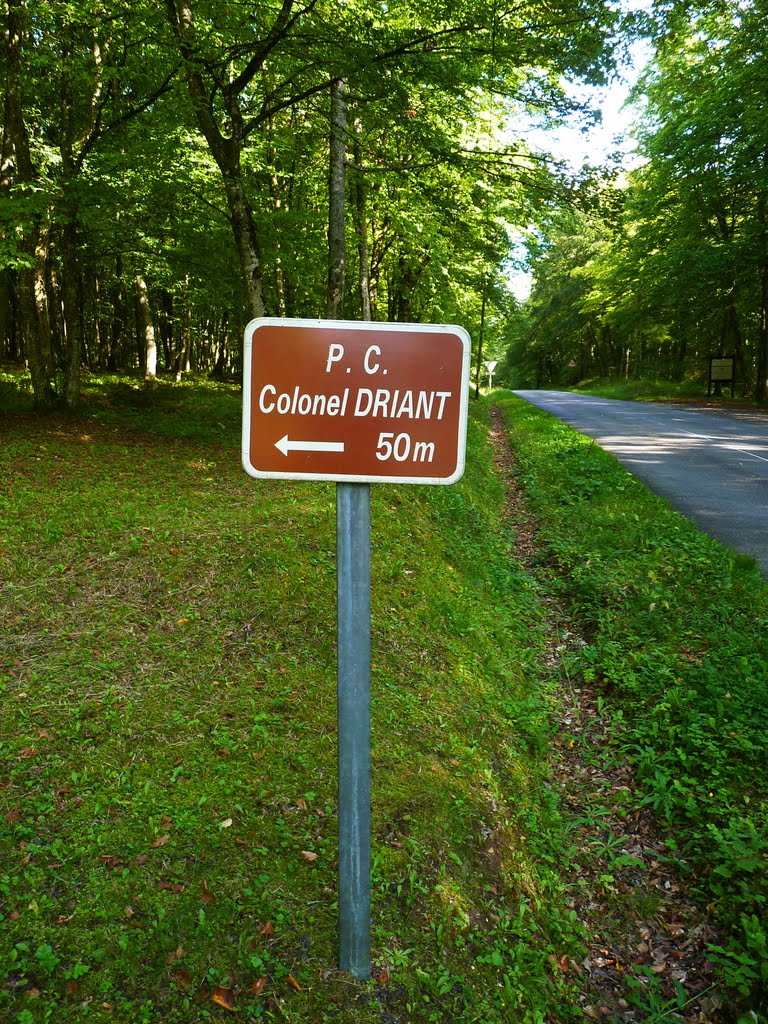 Au bois des Caures by Rudy Pické