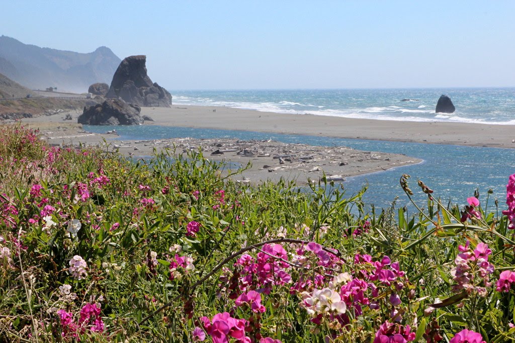 Sweet peas and beach by hannekje