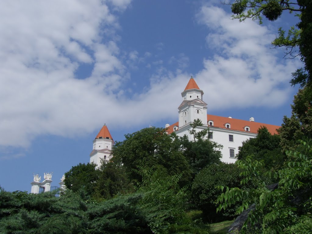 Castle in Bratysława 2 by tu.andy