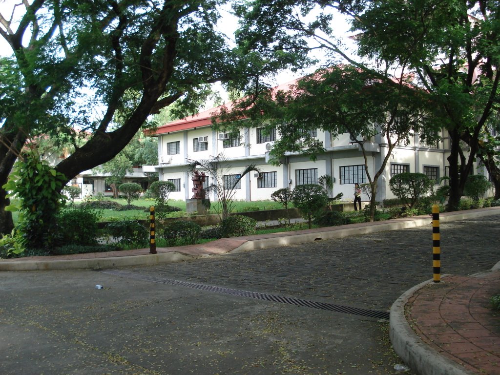 Library DLSU-Dasmariñas by NeoRalston