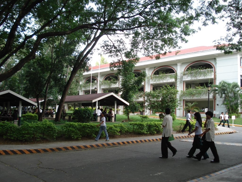 Liberal Arts College DLSU-Dasmariñas by NeoRalston