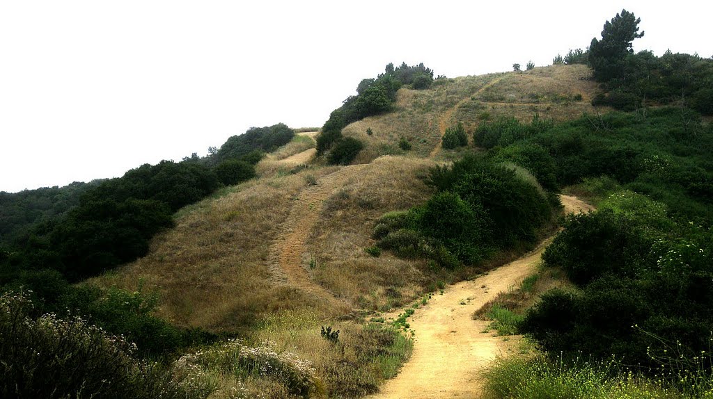 GLENDORA RIDGE TRAIL by kemplo