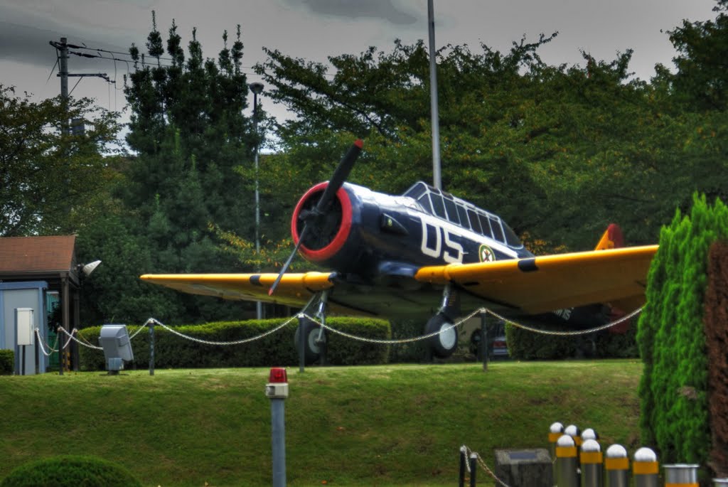 Older trainer at Atsugi NAF by geogeek