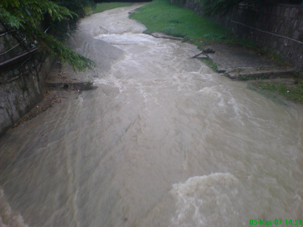 Little river in Yalta by Canberk Eren