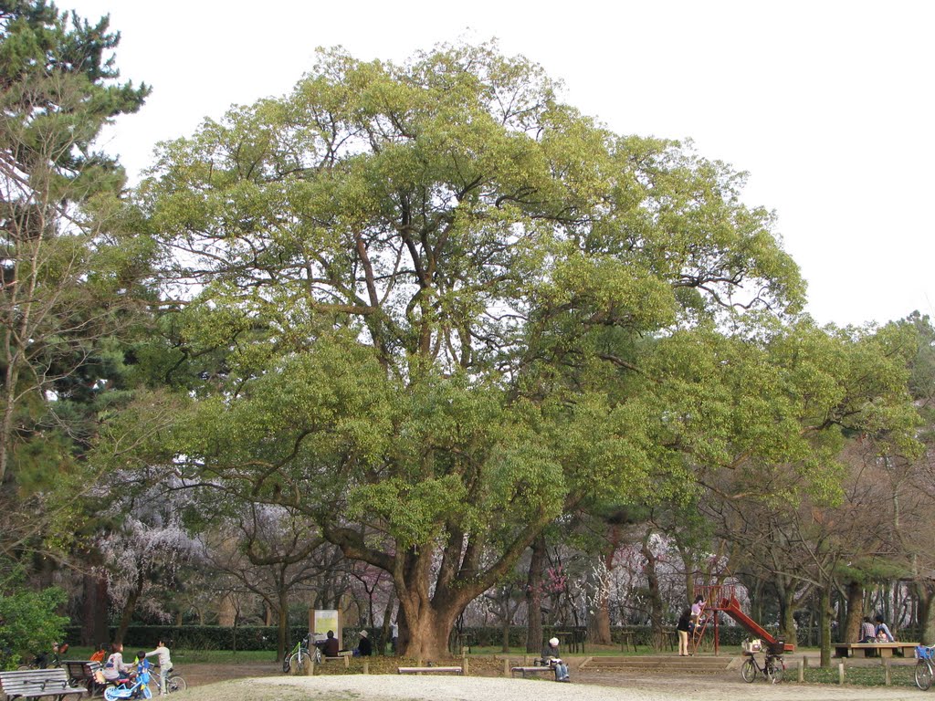 児童公園 by COCOCOLOR