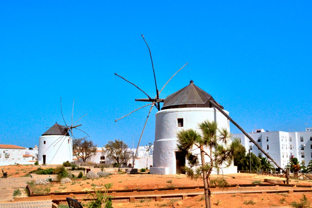 Molinos en Vejer by Manolo Dueñas