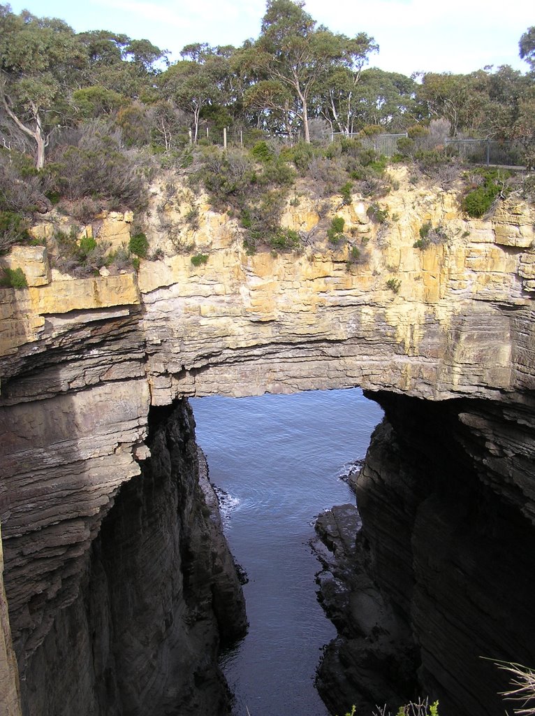 Tasman Arch, Eaglehawk Neck by Peter & Shelly