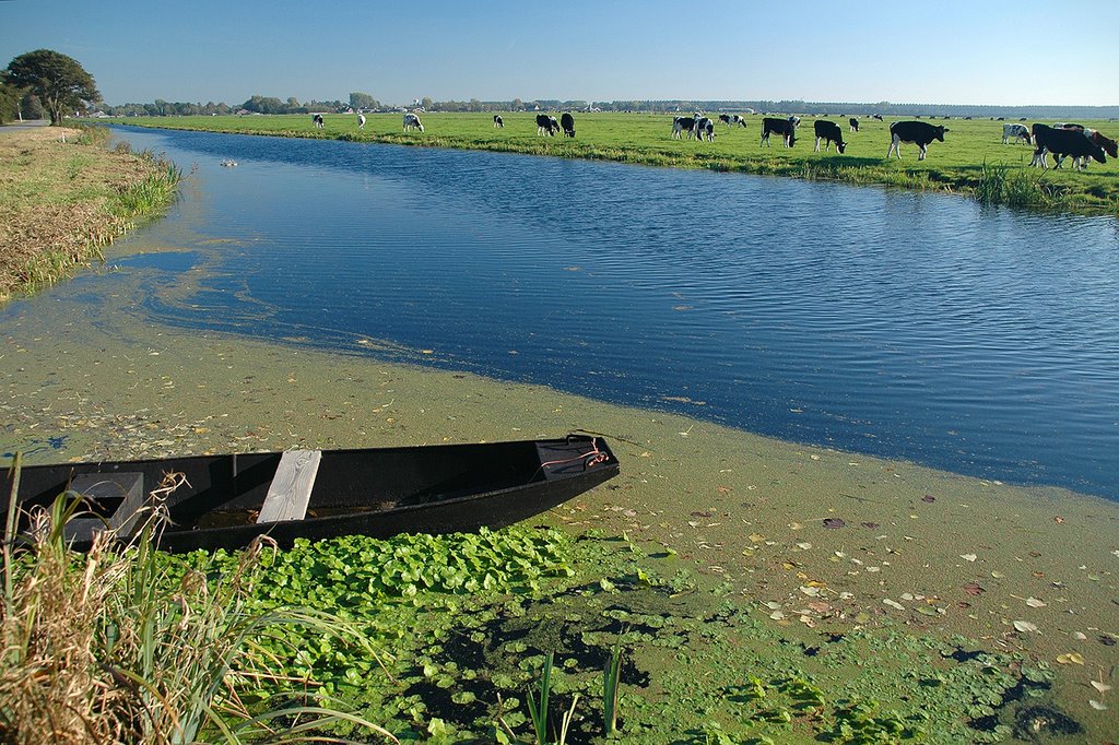 Boot in het water by Ruud van Dijk