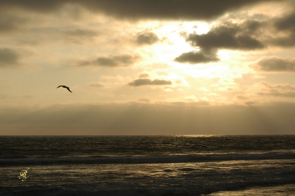 Sunset at the Beach by egzgallery