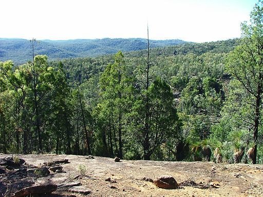 View over Gulf Creek, near Torrington, NSW by Greg Steenbeeke