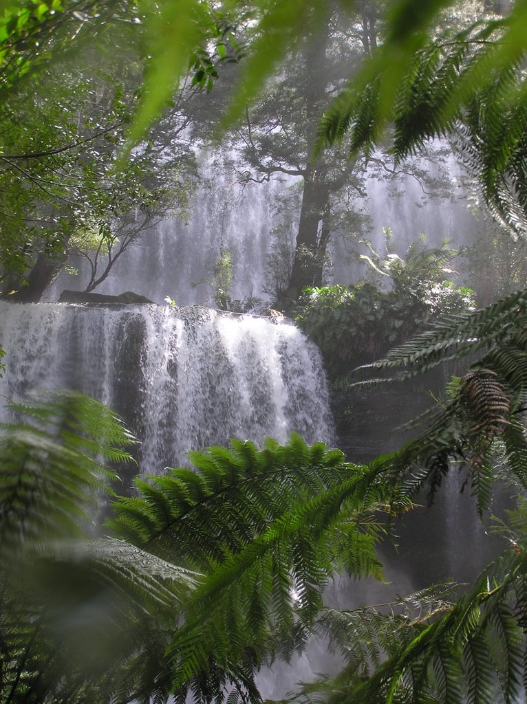 Russell Falls in the rain, Mt Field NP by Peter & Shelly