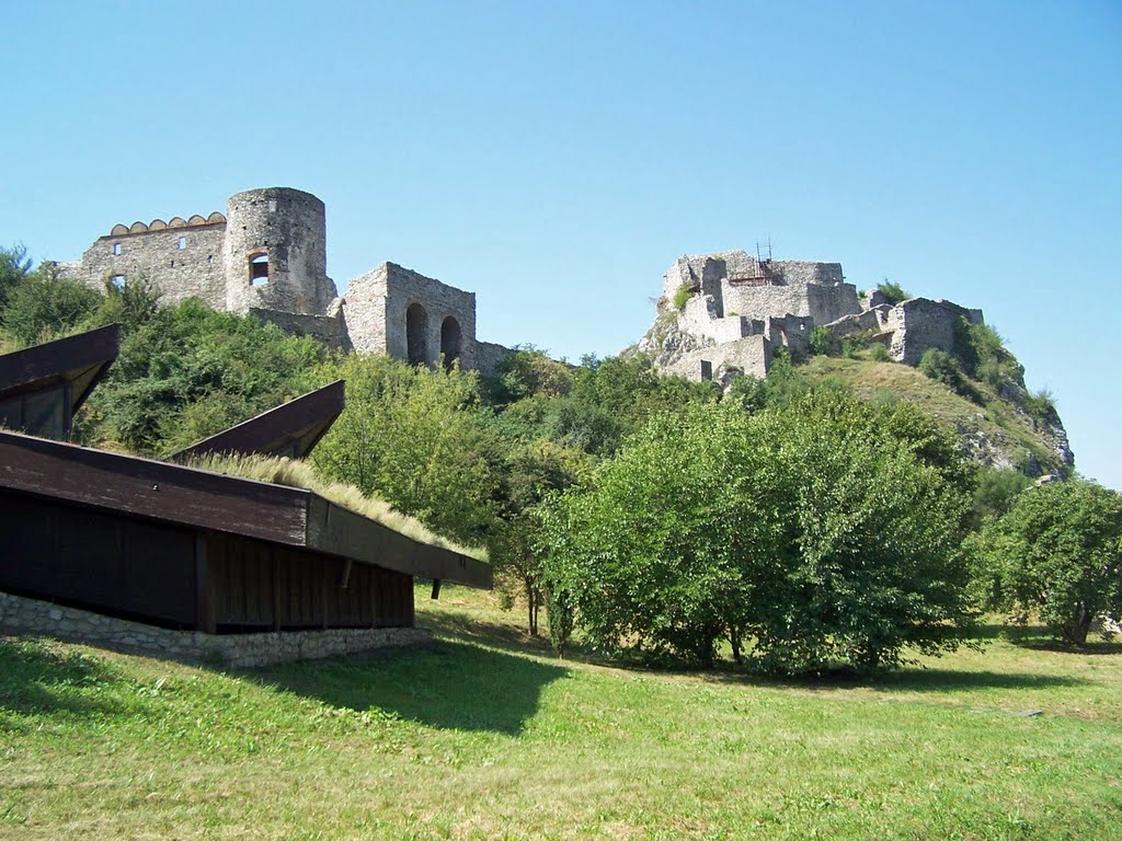 Devín castle by Bibiana Papp