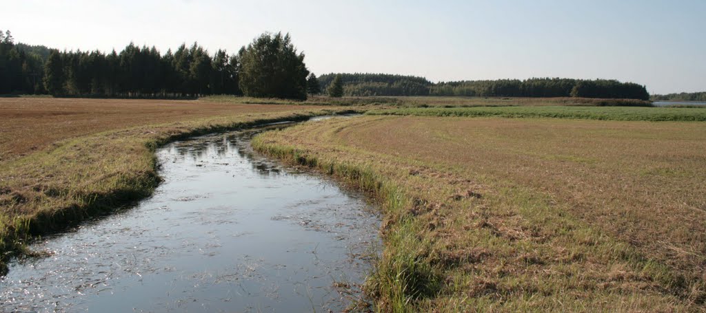 Toijala, Juhola, Big Ditch, Lake Terisjärvi, 27 August 2011 by Johanan Järvinen