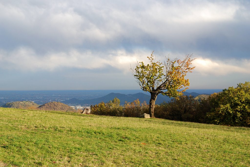 Autunno a Paso Fiorine by Giorgio Vido