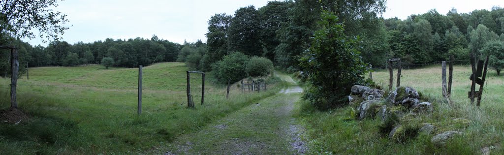 Swedish countryside by Jan Rasmussen