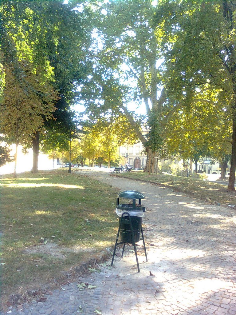 Sulla sommità di piazza Cavour by Lorenzo Pavetto