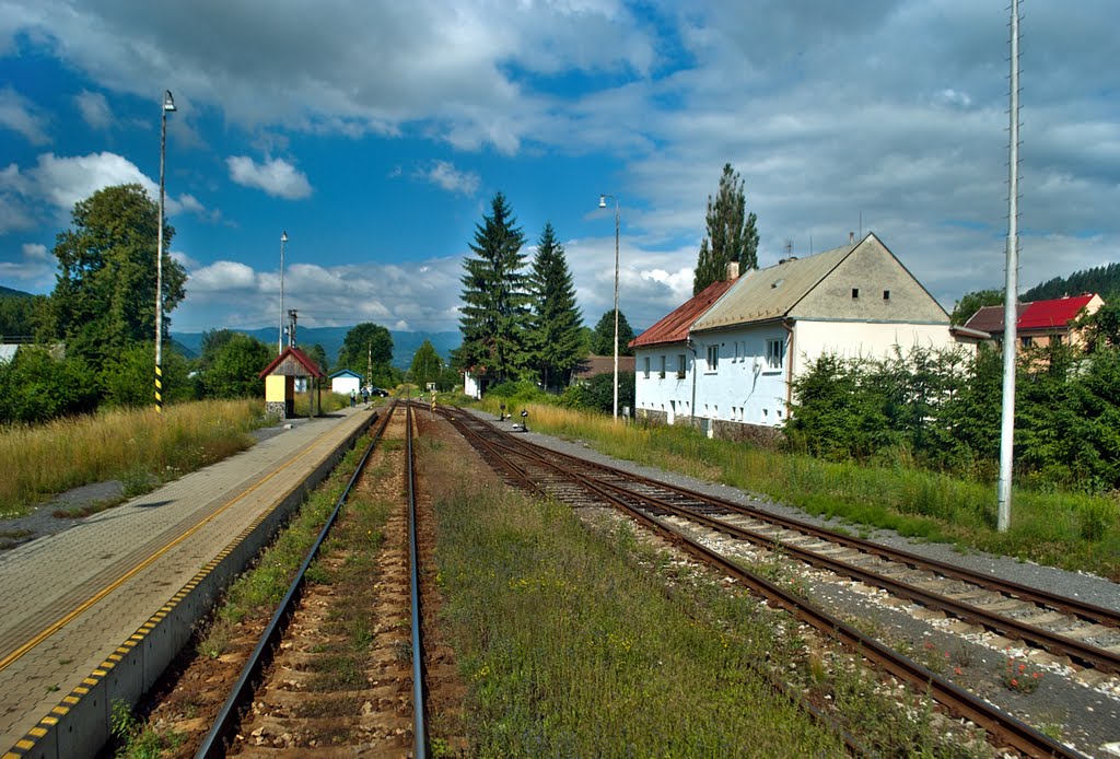 Koľajisko žel. stanice Šálková (trať ŽSR č.172) by © Ľudo T. 01.