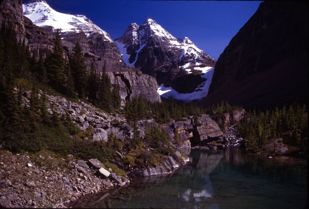 Lake Oesa Trail, Yoho National Park by David Land