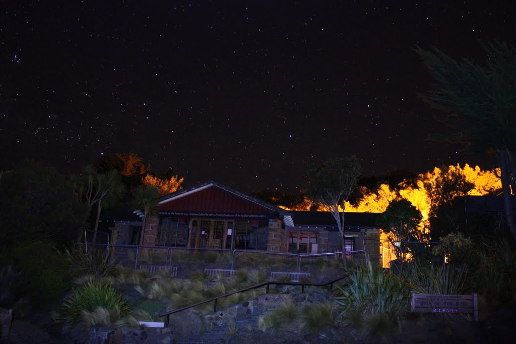 Sigh Of The Kiwi At Night by Steve Busson