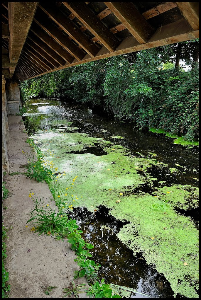 Lavoir by JiPR