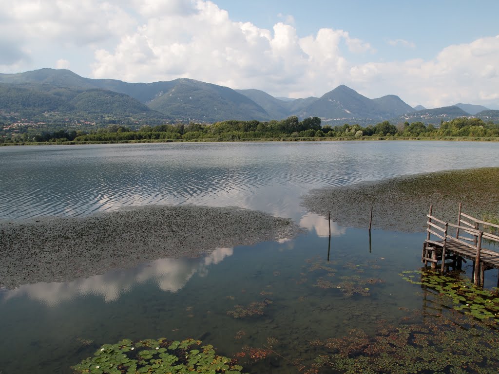 Lago di Alserio by ccrrii