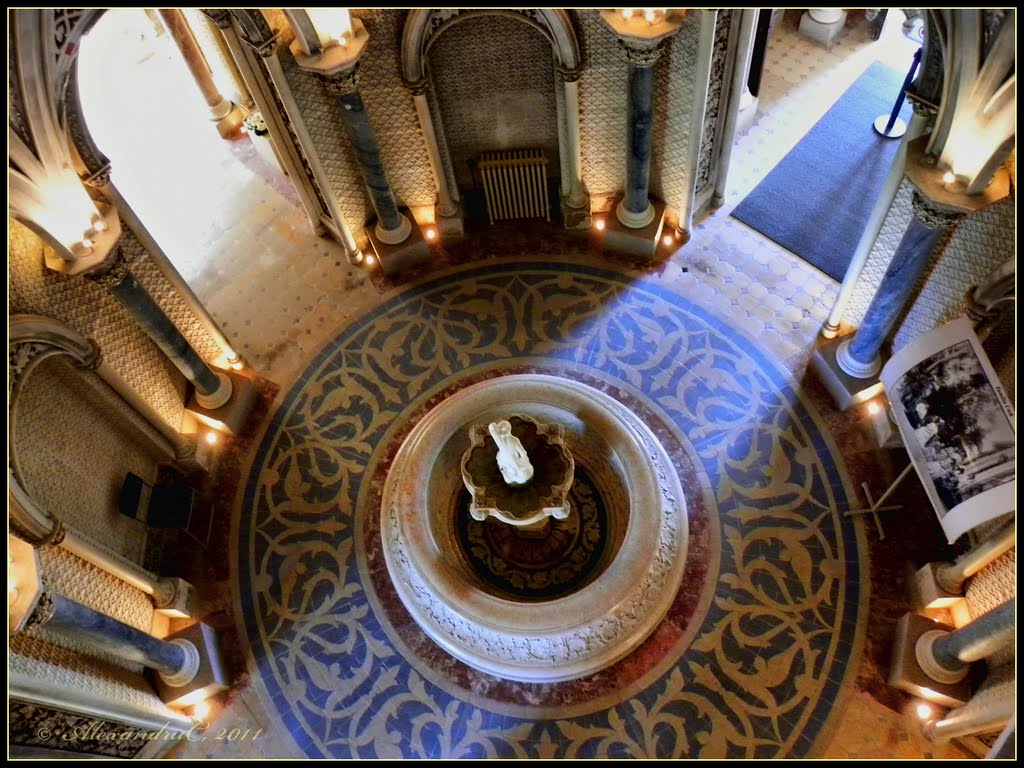 Palácio de Monserrate, Sintra by Sandy065