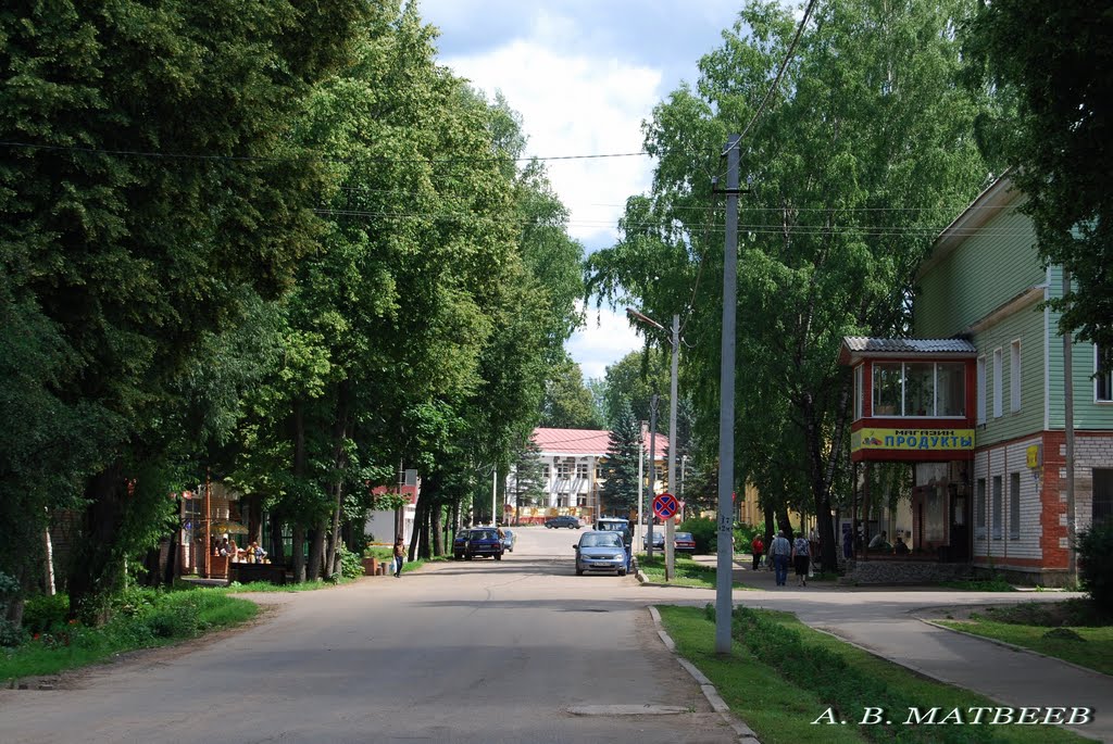 Демянск, ул. Ленина/Demyansk, Lenin st., 07.07.2011 by mav1818