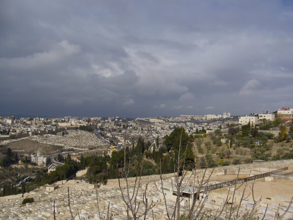 A view from the Mount of Olives / השקפה מההר של זיתים by Hiroshi Hasebe