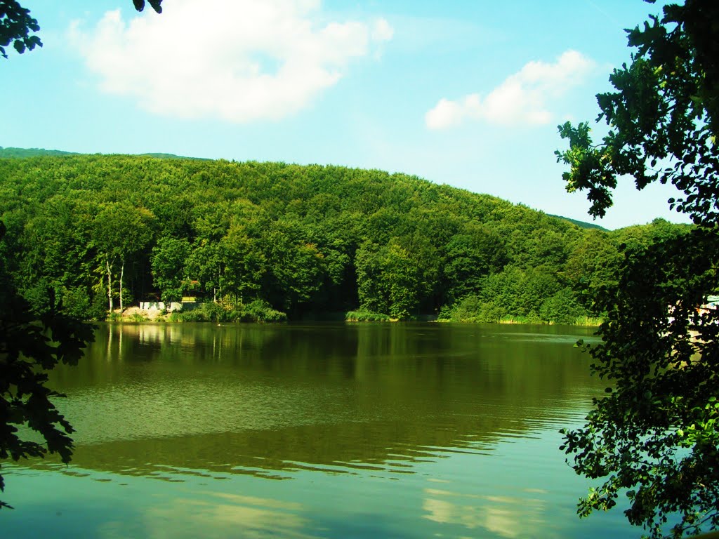 View of the lake Izra by katarina1953