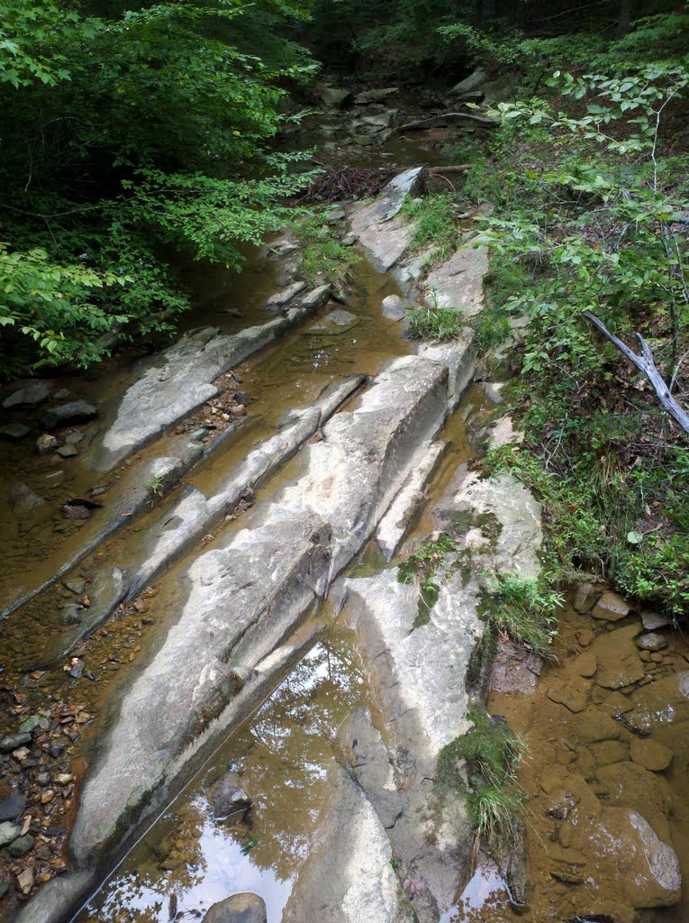 William B. Umstead State Park by Jan Solar