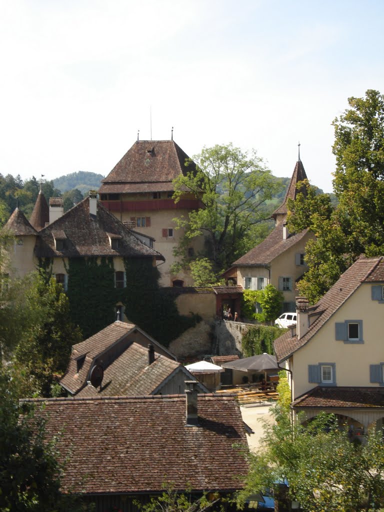 Wildenstein Castle, Switzerland by rui1954