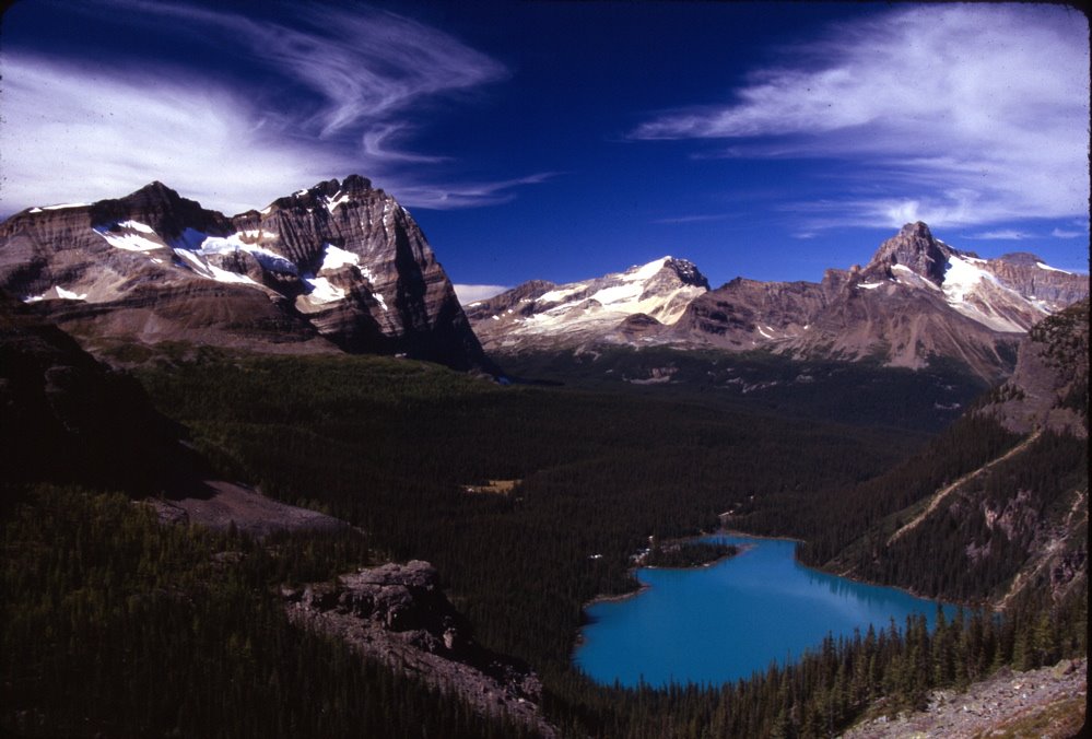 Lake O'Hara from Yukness Ledge Trail by David Land