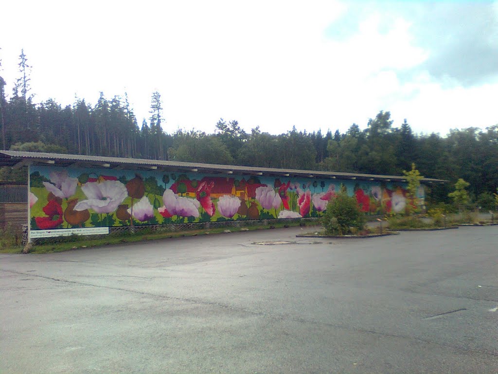 Das grösste Mohnbild der Welt im Mohndorf Armschlag/Waldviertel by stallhase