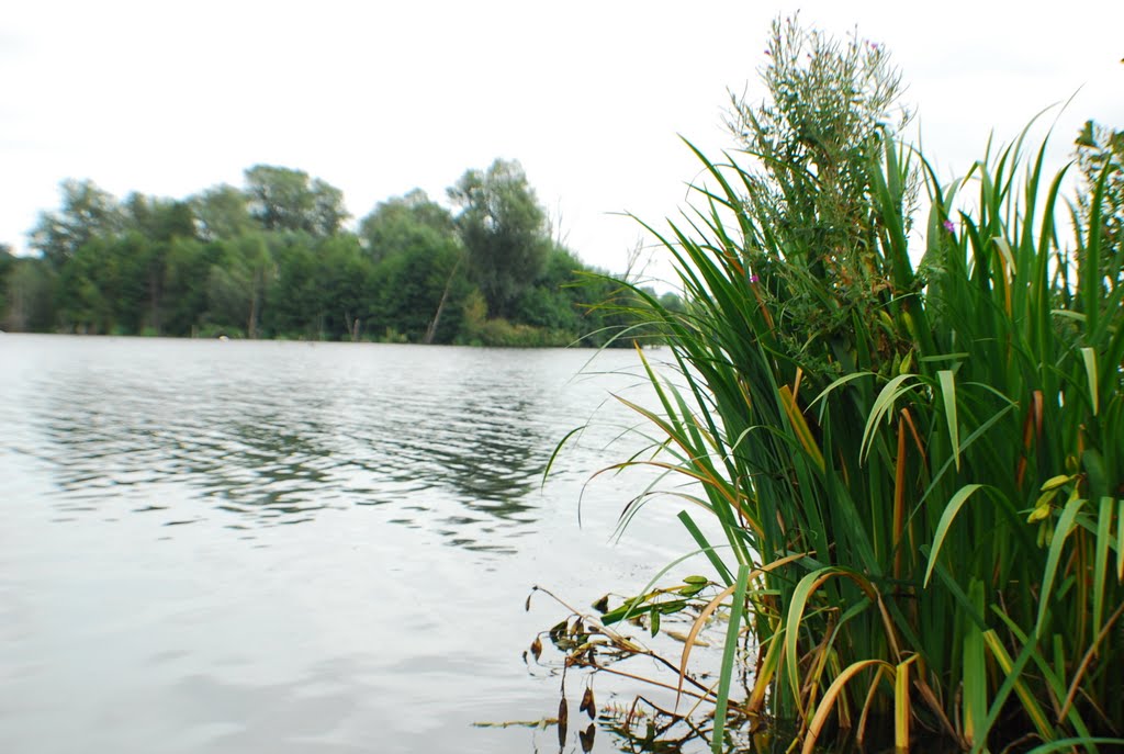 Snapping Green at Whitlingham Broad by throzen