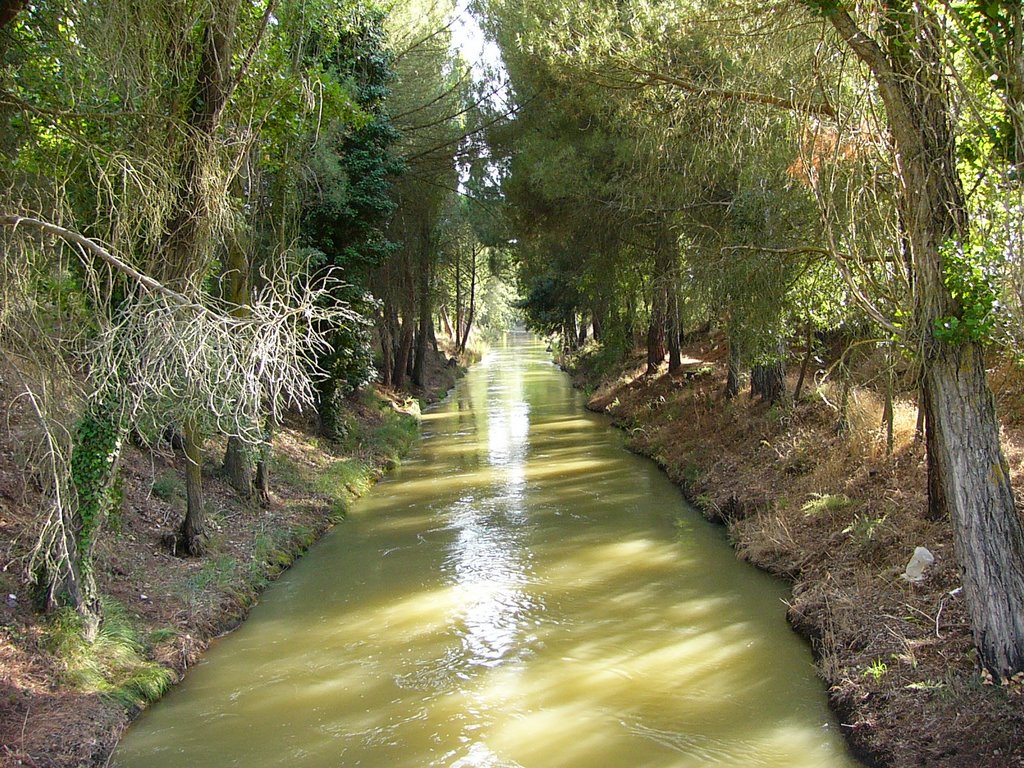 Canal Soto de Torilla (Valladolid) by gonzaluski