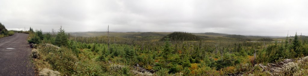 Newfoundland swamps by Leon Peute