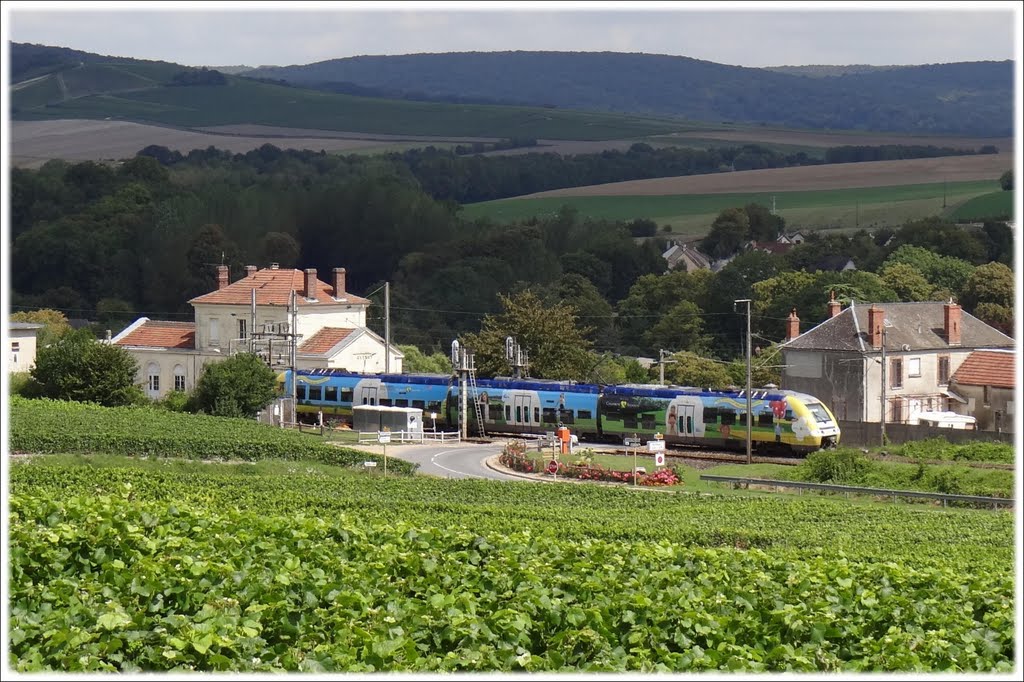 Gare d'Avenay by Philippe.Berthod